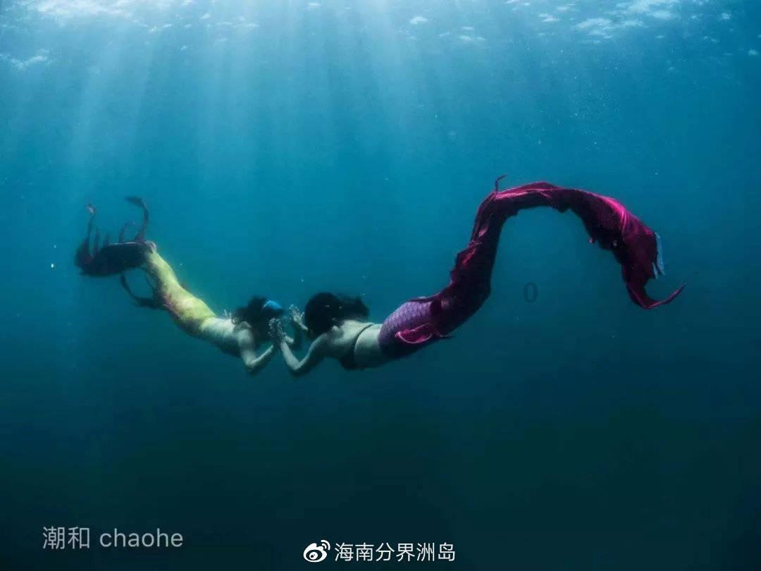 拯救小犀牛