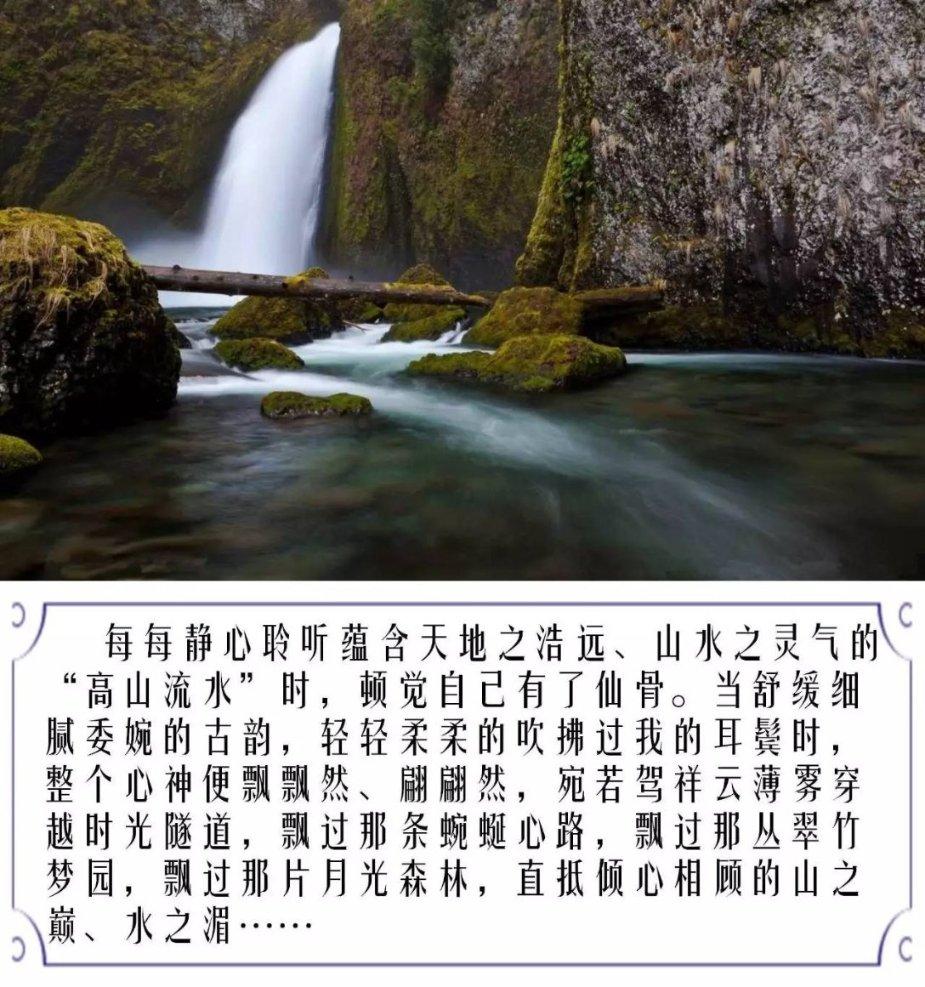 救援农场少年
